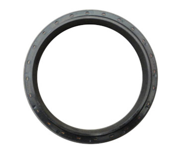 Crankshaft Oil Seal 3970548